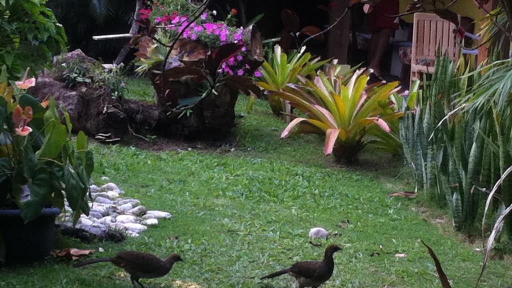 Pousada Varanda Do Sol Porto Seguro Dış mekan fotoğraf